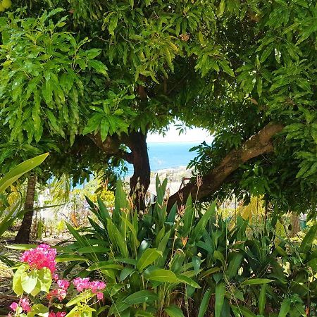 Appartement Studio avec vue sur la mer jardin clos et wifi a Schoelcher a 1 km de la plage Extérieur photo