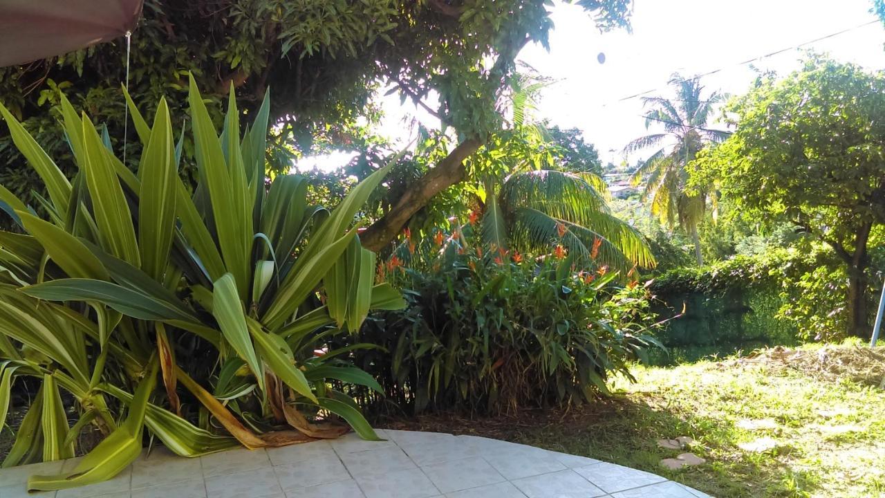 Appartement Studio avec vue sur la mer jardin clos et wifi a Schoelcher a 1 km de la plage Extérieur photo