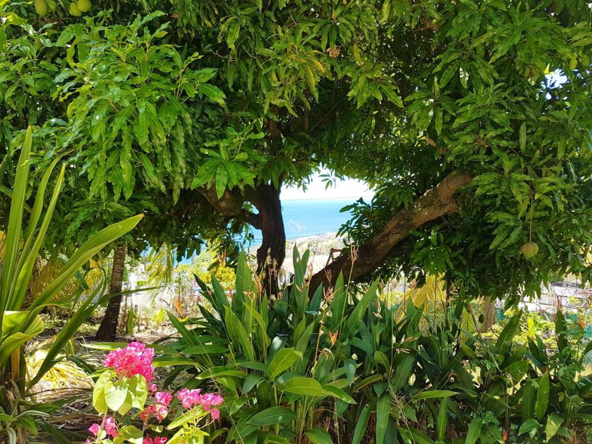 Appartement Studio avec vue sur la mer jardin clos et wifi a Schoelcher a 1 km de la plage Extérieur photo